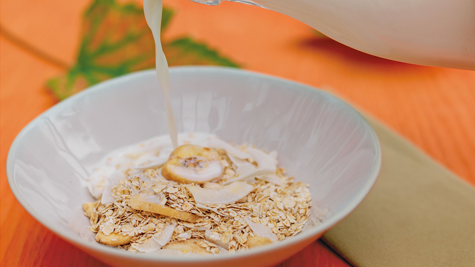 allergener-Studio Dreyer+Hensley.jpg